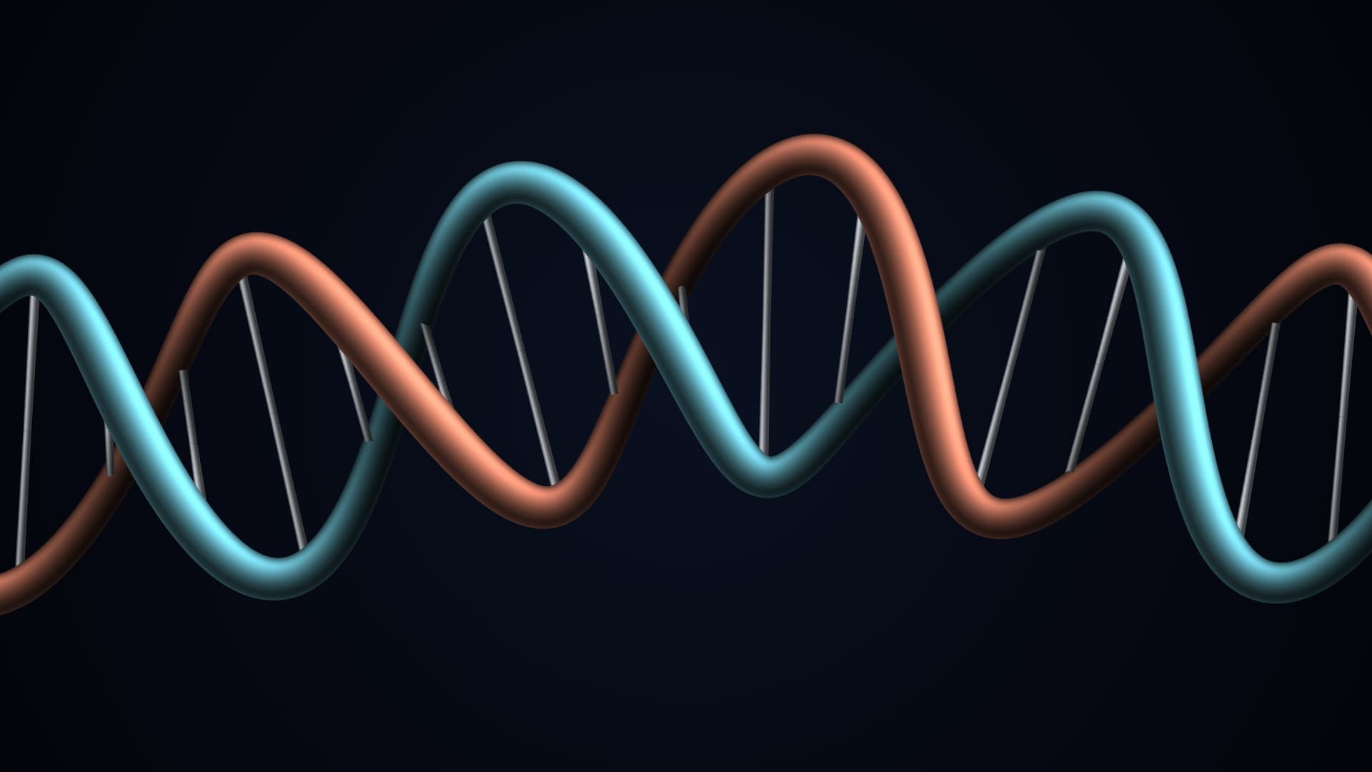 DNA Helix