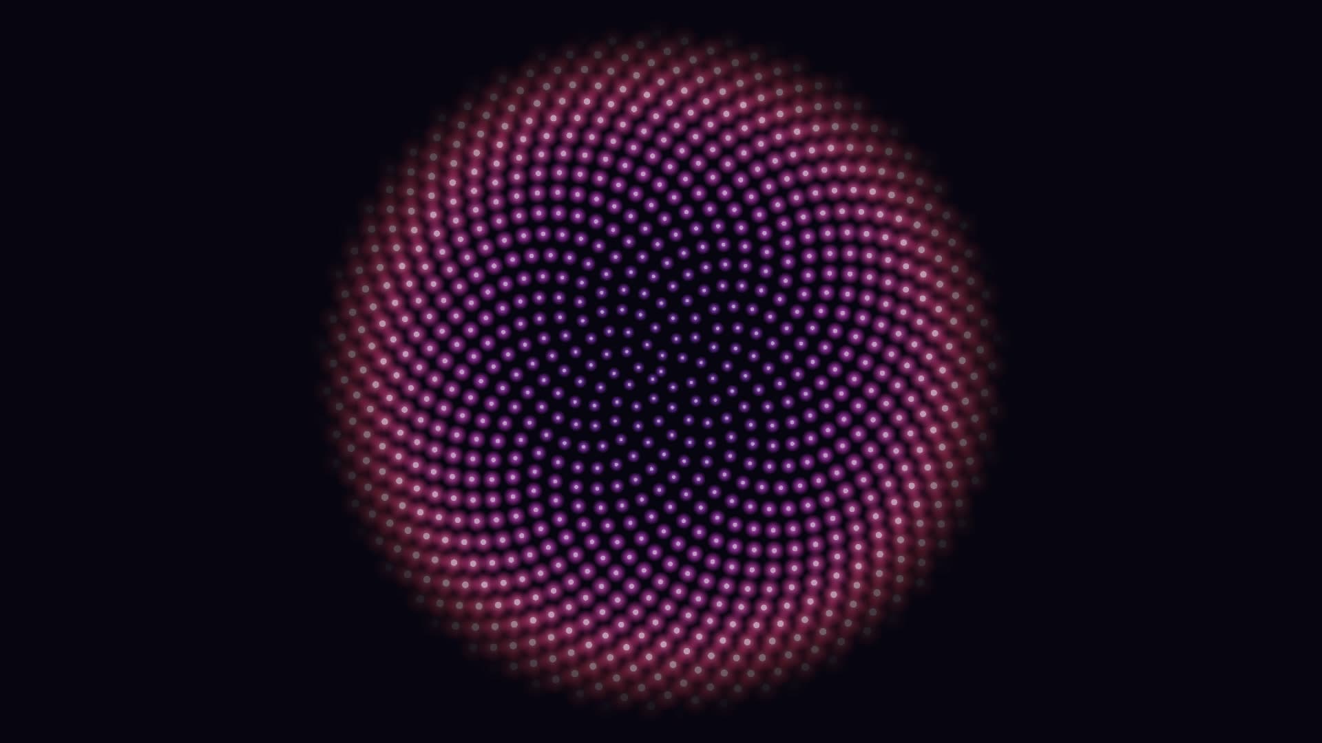 Phyllotaxis Bloom